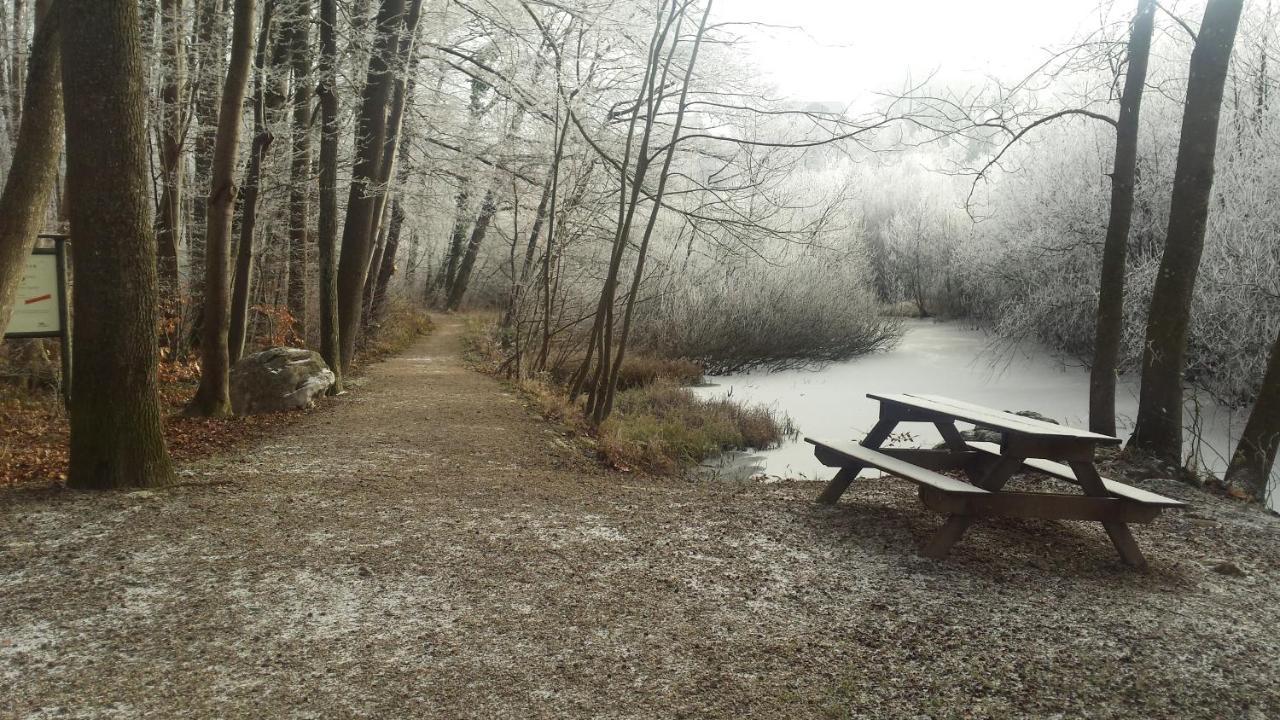 Ferienwohnung Krottensee Gmunden Luaran gambar