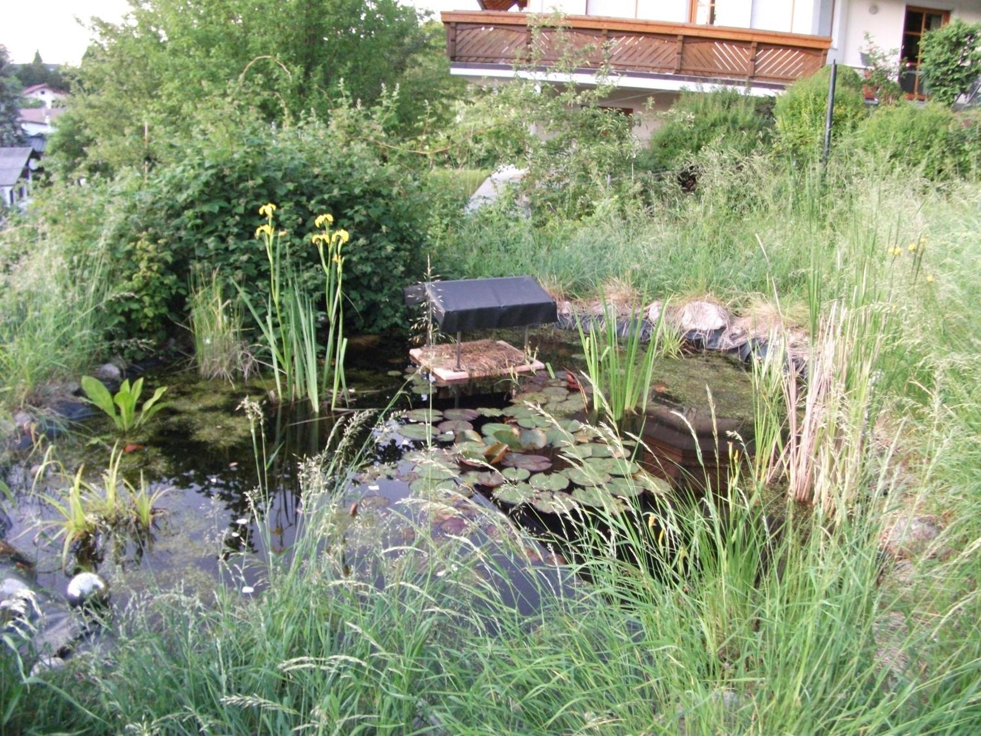 Ferienwohnung Krottensee Gmunden Luaran gambar